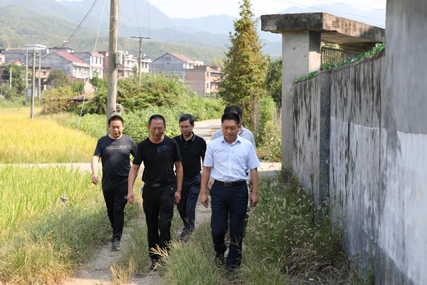 江南平台党委书记张格林赴高水村开展乡村振兴专题调研